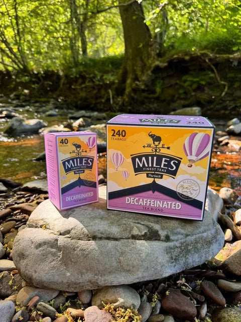Miles Decaf Teabags