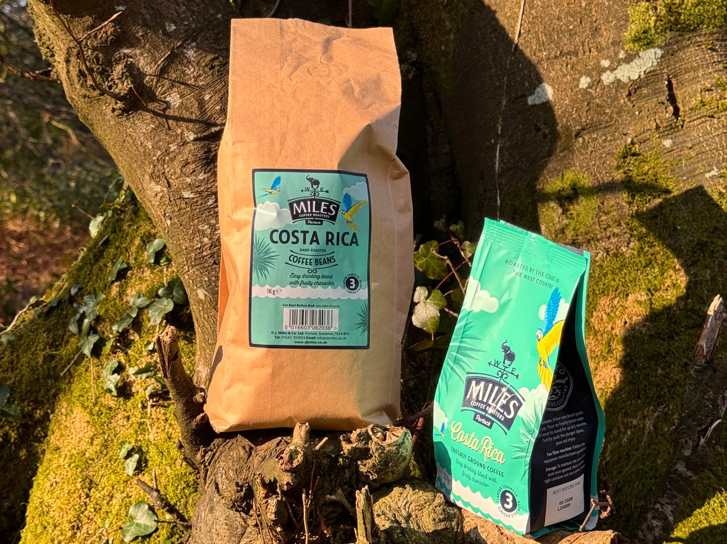 Costa Rican Coffee