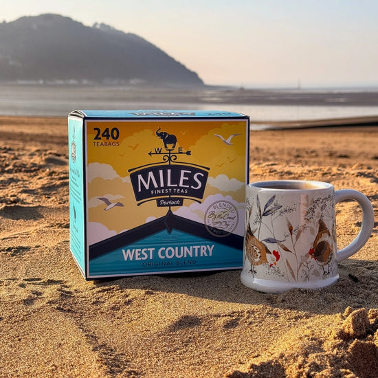 240 WC Minehead Beach