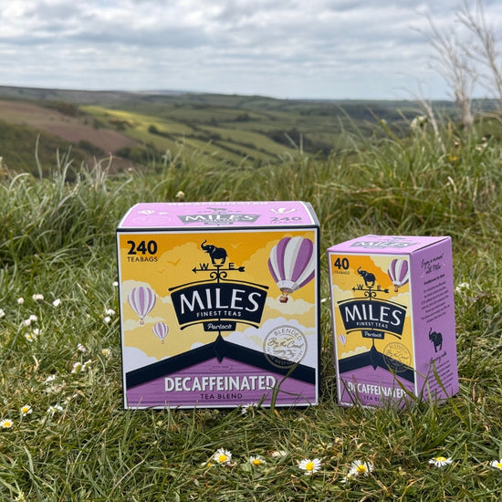Two boxes of Miles tea on a grassy field with a scenic background
