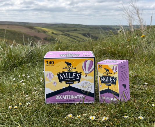 Two boxes of Miles tea on a grassy field with a scenic background