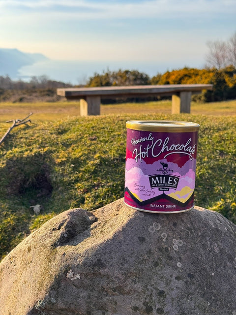 Hot Chocolate