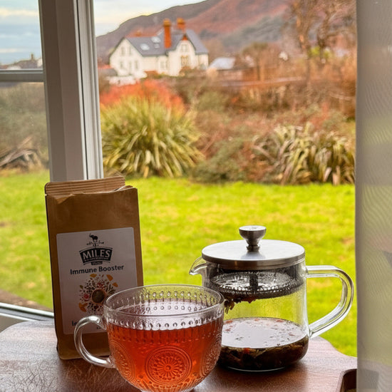 Tea set with a glass mug and teapot on a windowsill with a scenic view outside.