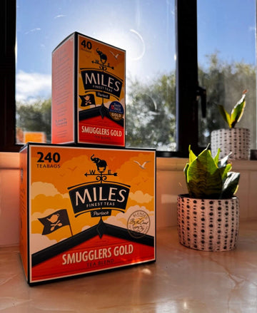Image of teabag boxes and plants against a window