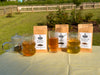 2026 Spring Teas Set