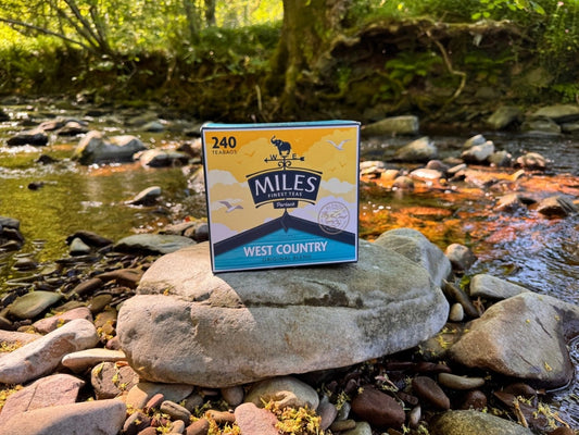 240 West Country Teabags on rock