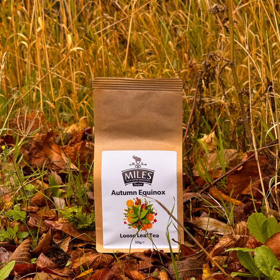 Miles Autumn Equinox loose leaf tea package in a natural setting with grass and leaves.