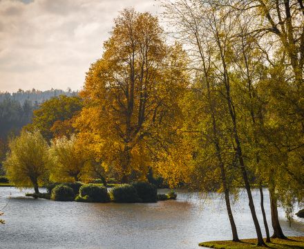 Autumn trails