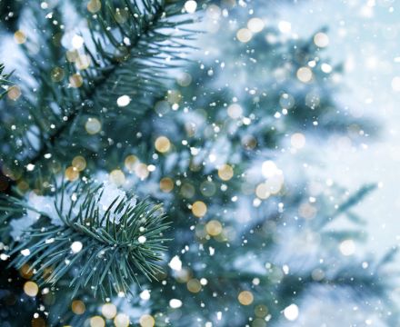 A greener Christmas
