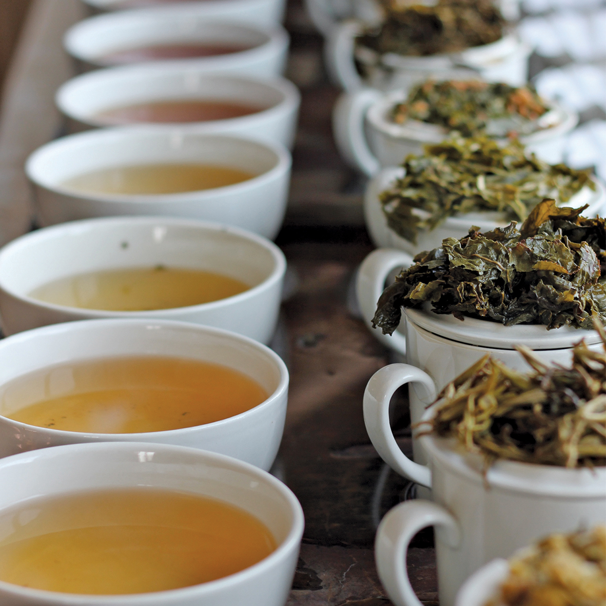 Miles tea tasting